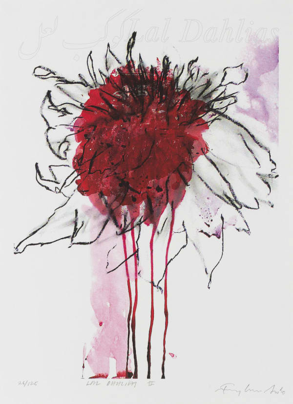 Lal Dahlias
