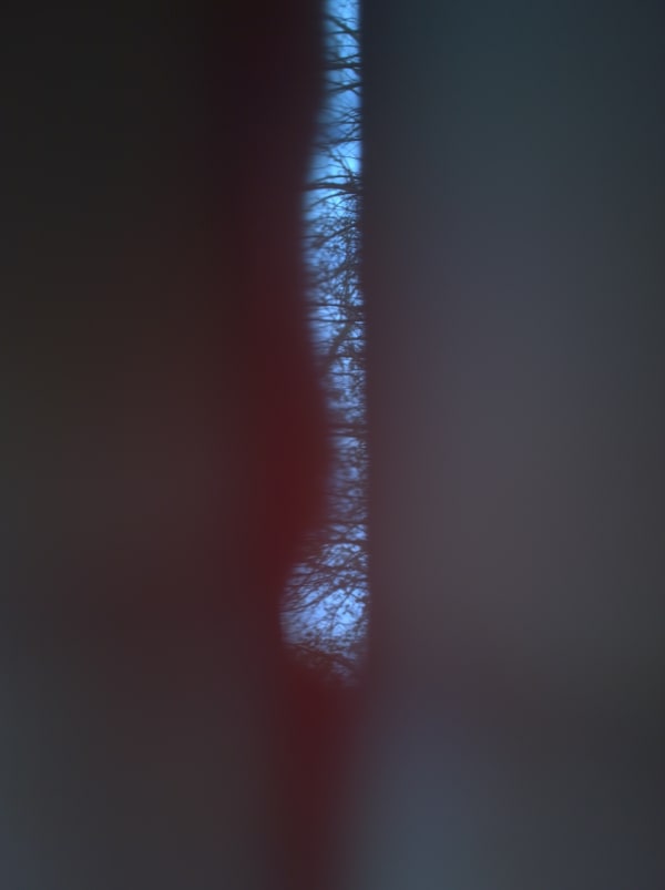 Mehran Mohajer, Untitled, 2017