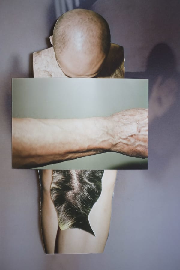 Alborz Kazemi, Untitled, 2017