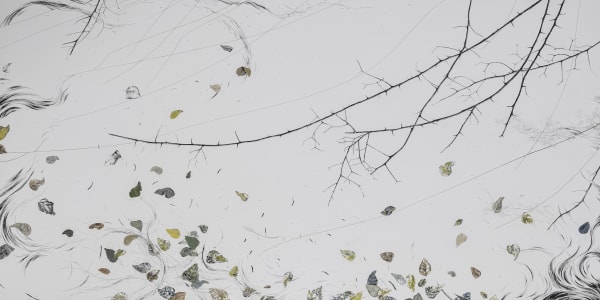 Sadaf Hesamiyan, Fleeting II, 2020