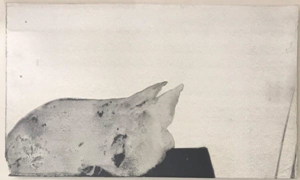Ali Beheshti, Untitled, 2017