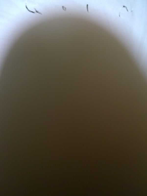 Mehran Mohajer, Untitled, 2017