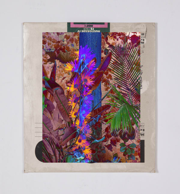 Matthew Brandt and Christine Nguyen, Garden Picture 13, 2024