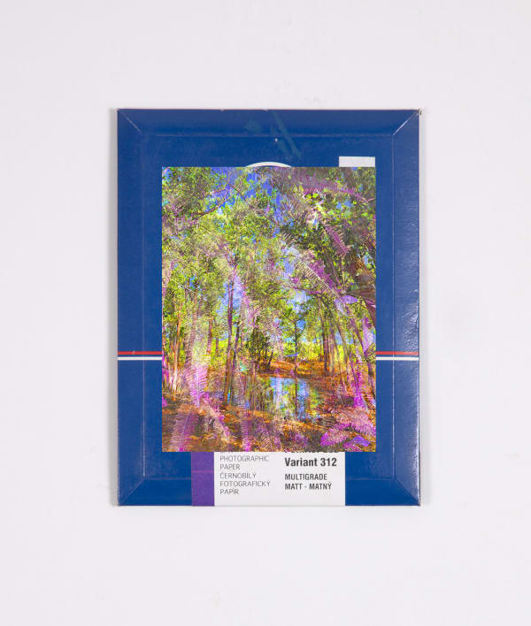 Matthew Brandt and Christine Nguyen, Garden Picture 5, 2024