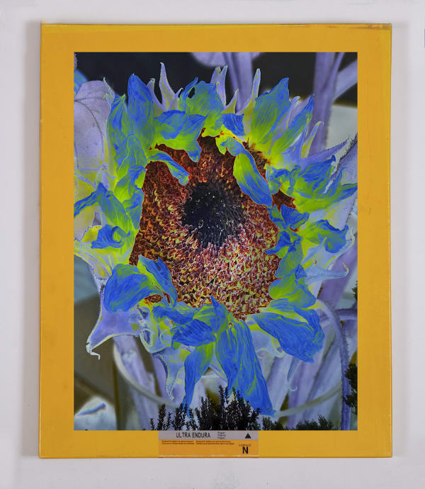 Matthew Brandt and Christine Nguyen, Garden Picture 15, 2024