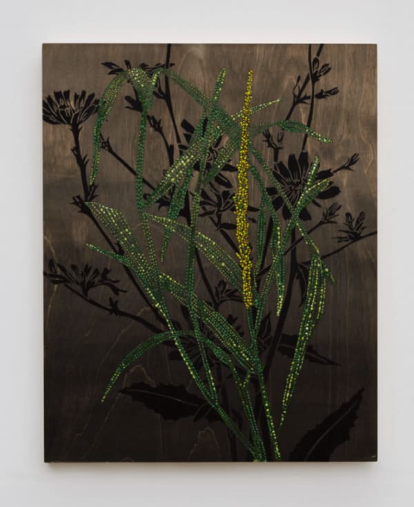 Jason Middlebrook, Botany in Distress #6, 2020