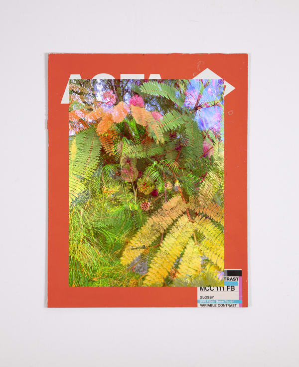 Matthew Brandt and Christine Nguyen, Garden Picture 1, 2024