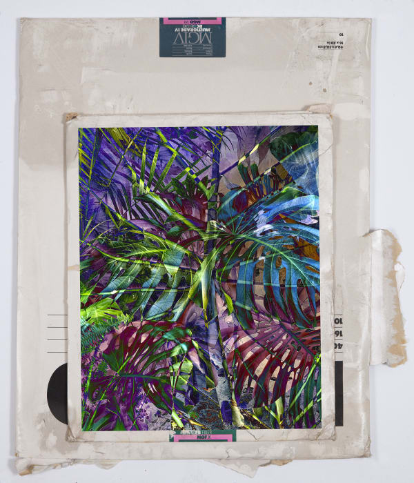 Matthew Brandt and Christine Nguyen, Garden Picture 11, 2024