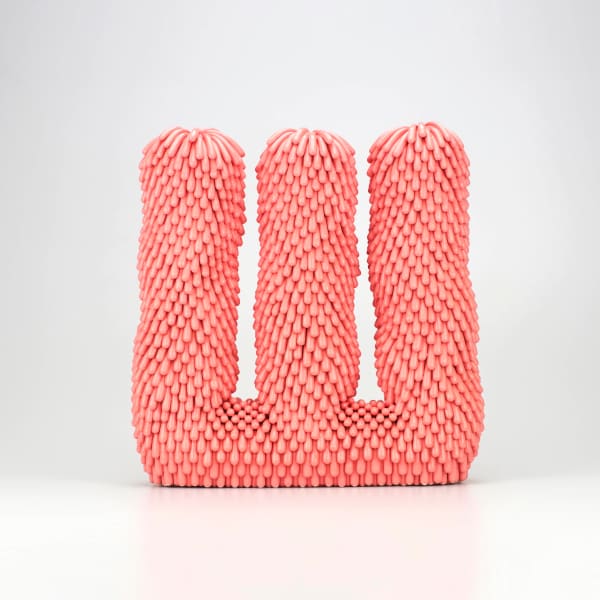 Linda Nguyen Lopez, Salmon Pillars Dust Furry, 2022