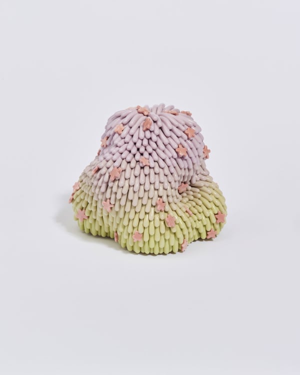 Linda Nguyen Lopez, Distant Blooms Ombre Dust Furry, 2024