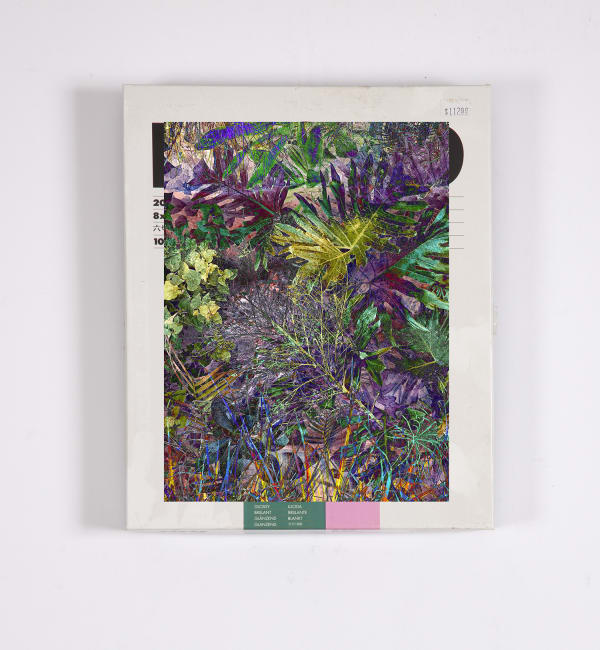 Matthew Brandt and Christine Nguyen, Garden Picture 8, 2024
