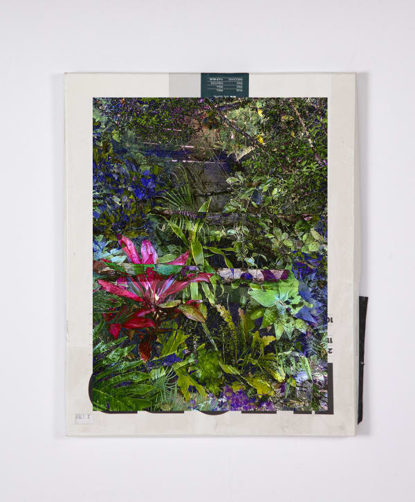 Matthew Brandt and Christine Nguyen, Garden Picture 3, 2024