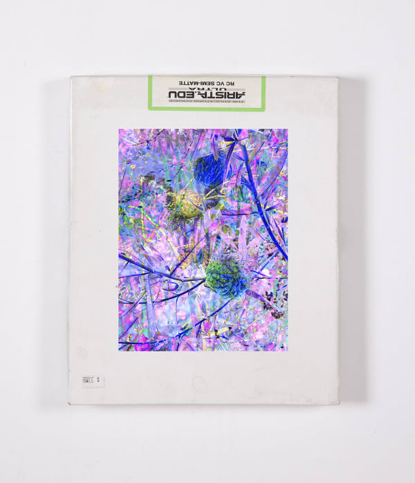 Matthew Brandt and Christine Nguyen, Garden Picture 7, 2024