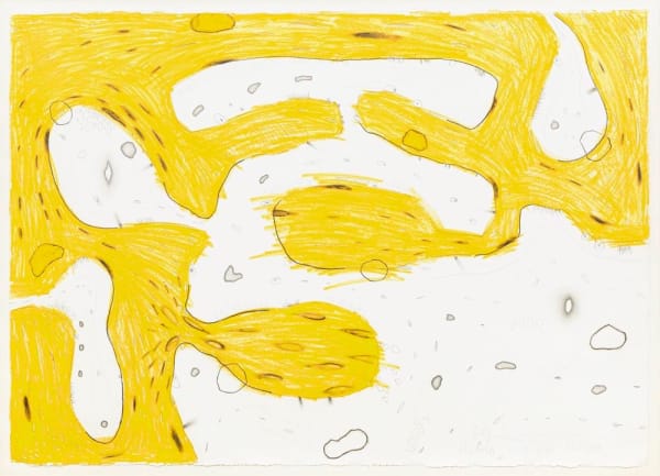Carroll Dunham Untitled, 1990 crayon and graphite on paper 43 x 60 inches 109.2 x 152.4 cm