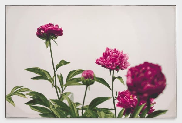 David Hartt A Colored Garden, 2022 tapestry in artist’s aluminum frame 84 3/4 x 132 3/4 in (215.3 x 337.2 cm) or variable size Edition of 3, with 1 AP