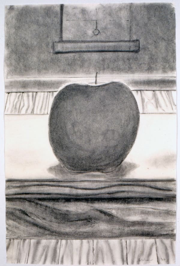 Richard Artschwager Untitled (Apple), 2003 charcoal on paper 37 3/4 x 25 in (95.9 x 63.5 cm)