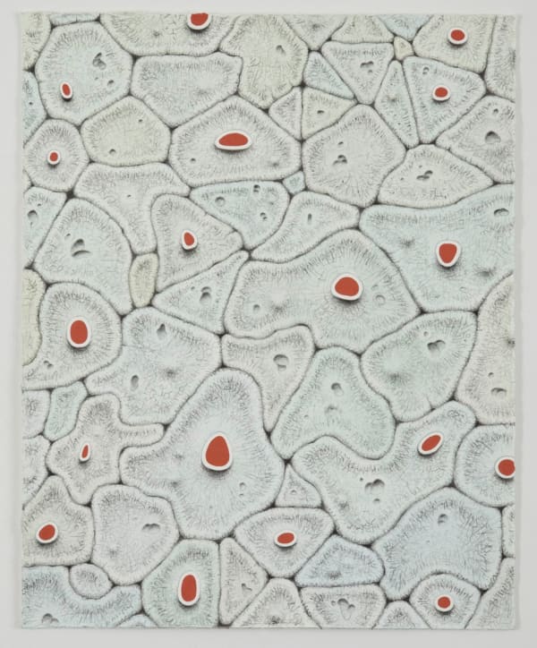 Alexander Ross Untitled, 2009 Flashe, watercolor, graphite on paper 25 x 20 inches 63.5 x 50.8 cm