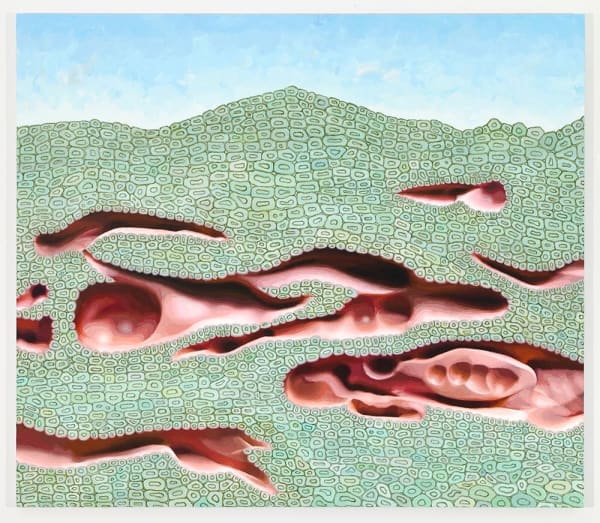 Alexander Ross Untitled, 2014 oil on canvas 52 x 60 in 132.1 x 152.4 cm