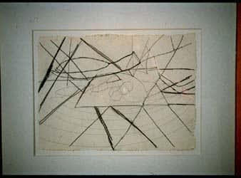 Terry Winters Independent variables, 1994 - 1995 graphite on paper 11 x 14 3/4 inches 27.5 x 37.5 cm