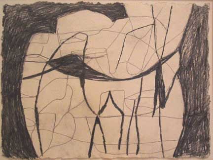 Terry Winters Model-based Rendering, 1995 graphite on paper 10 7/8 x 14 3/4 inches 27.6 x 37.5 cm