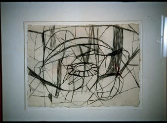 Terry Winters Virtual Sculpture, 1994 - 1995 graphite on paper 11 x 14 3/4 inches 27.5 x 37.5 cm