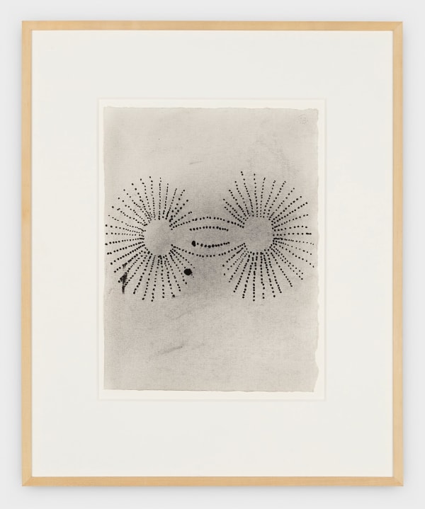 Terry Winters Untitled, 1988 ink on paper 14 3/4 x 11 in (37.5 x 27.9 cm)