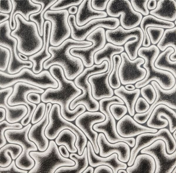 Alexander Ross Untitled, 2010 graphite and crayon on paper 30 1/8 x 30 1/8 inches 76.5 x 76.5 cm