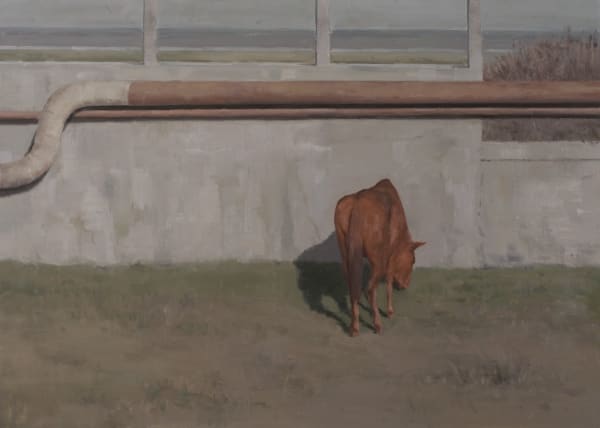 Serban Savu Heavy Light, 2008 oil on canvas 28 x 39 3/8 in (71 x 100 cm)