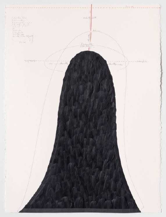 Jorinde Voigt Central From Below, 2015 ink, feathers, oil pastels, pencil on paper 30 1/2 x 22 5/8 in (77.5 x 57.5 cm) framed: 34 x 26 1/2 x 2 3/4 in (86.4 x 67.3 x 7 cm)