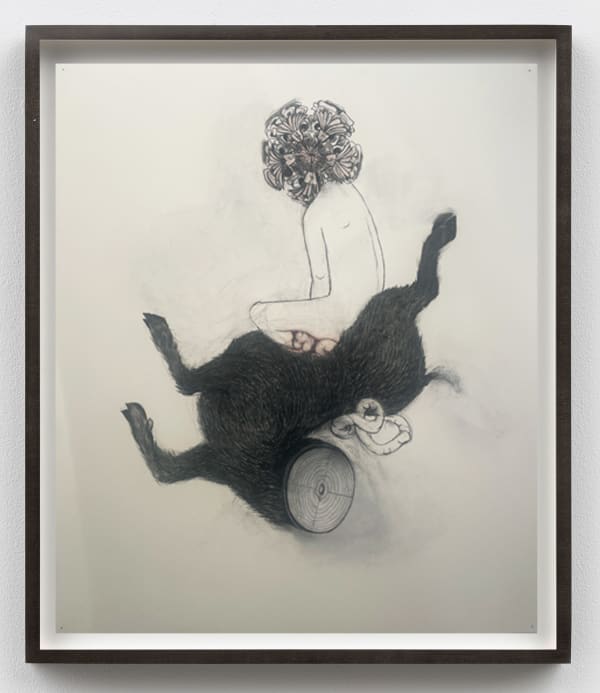 Alice Maher The Glorious Maid (of the Charnel House), 2016 charcoal, chalk, pastel on Saunders Waterford paper 48 x 40 in (122 x 102 cm)