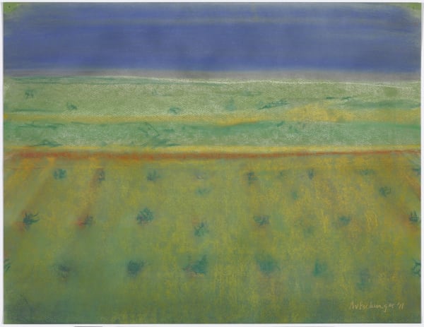 Richard Artschwager Bushes with Blue Sky, 2011 pastel on green paper 19 3/4 x 25 1/2 in 50.2 x 64.8 cm