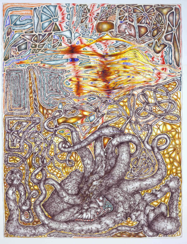 Steve DiBenedetto Oztopus, 2004 - 2005 colored pencil on paper 29 3/4 x 22 1/2 inches 75.6 x 57.2 cm