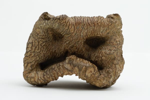 Neil Gall, Watching Me Watching You, 2013