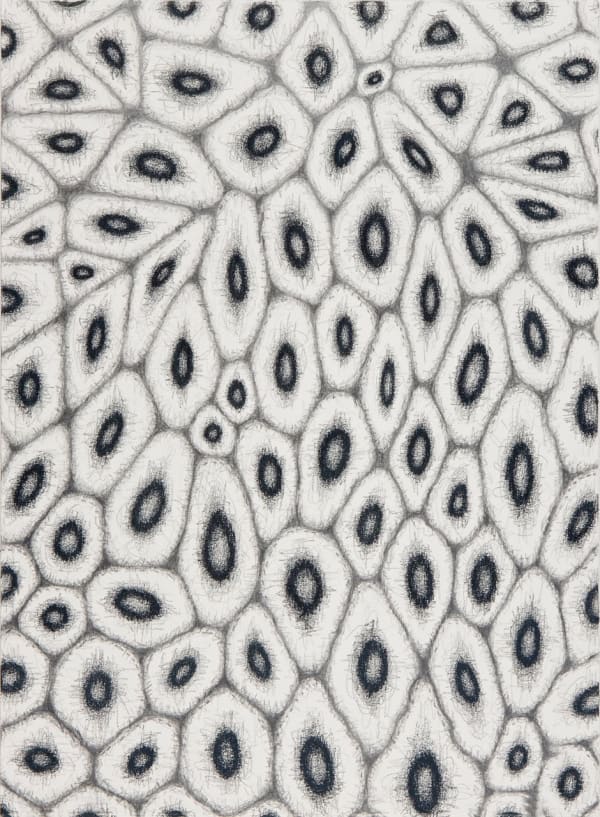 Alexander Ross Untitled, 2010 graphite and crayon on paper 30 x 22 1/8 inches 76.2 x 56.2 cm