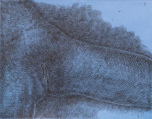 James Siena, Place, 2008