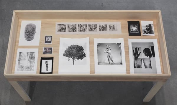 Liz Johnson Artur Untitled (Sketchbook), 1993-2015 11 photographic prints (various techniques) dimensions vary; overall 24 x 55 in (61 x 139.7 cm)