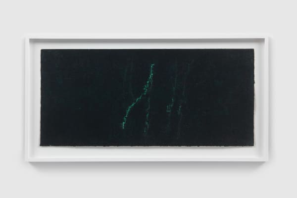 Julia Fish Study for Lightning, 1991 chalk pastel on paper 10 x 22 in (25.4 x 55.9 cm) framed: 13 x 25 in (33 x 63.5 cm)