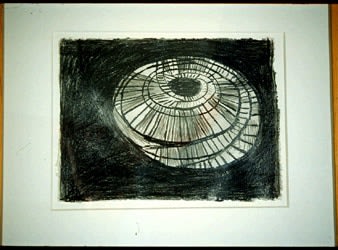 Terry Winters Compressed Model, 1994 - 1995 graphite on paper 11 x 14 3/4 inches 27.5 x 37.5 cm