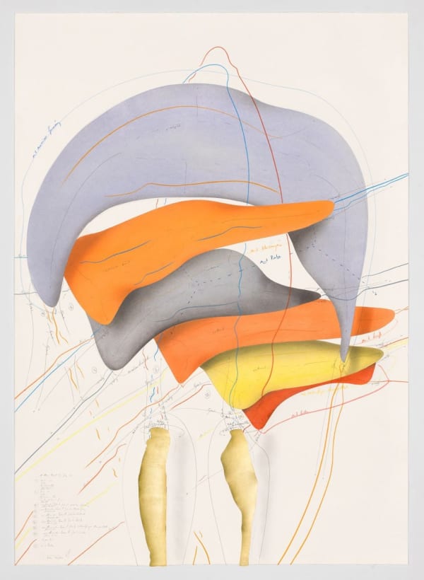 Jorinde Voigt A New Kind of Joy - Study (1), 2016-17 ink, gold leaf, oil pastel, pastel, and graphite on paper 55 1/2 x 39 3/8 in (141 x 100 cm)