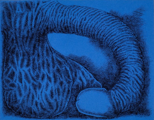 James Siena, Member, 2008