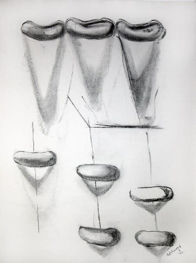 Richard Artschwager Untitled (Hot dog ascendant), 2002 charcoal on paper 25 x 19 inches