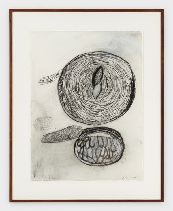 Terry Winters Untitled, 1984 charcoal, pencil, chalk on paper 33 x 22 1/4 in (83.8 x 56.5 cm)