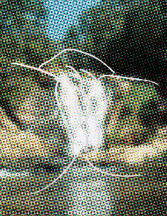 Jeff Koons, Waterfall Dots (Origin), 2008