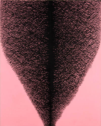 Katia Santibañez, Universal Pleasure, 2008-2009