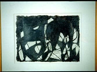 Terry Winters Modeling Shadows, 1994 - 1995 graphite on paper 11 x 14 3/4 inches 27.5 x 37.5 cm