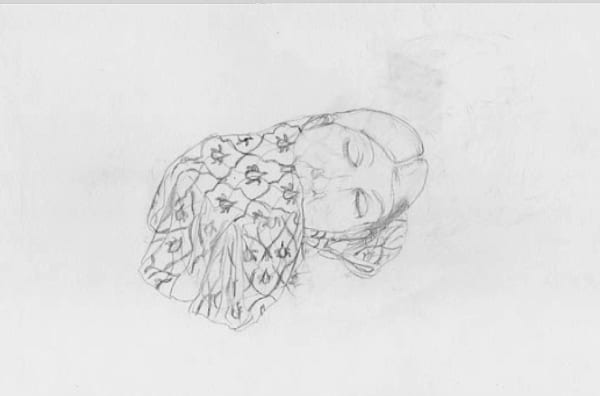 Alice Maher Sleep, 2009-2010 video animation with sound by Trevor Knight DVD, 3:16 min