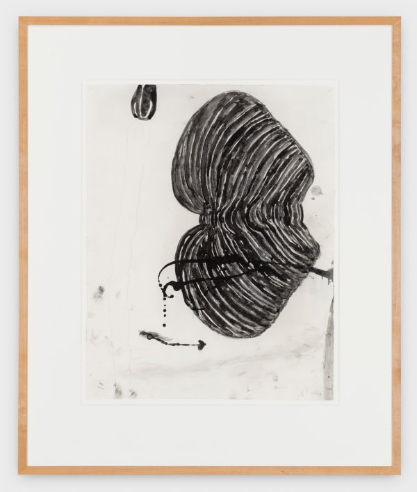 Terry Winters Untitled, 1986 graphite on paper 20 1/2 x 16 in (52.1 x 40.6 cm)
