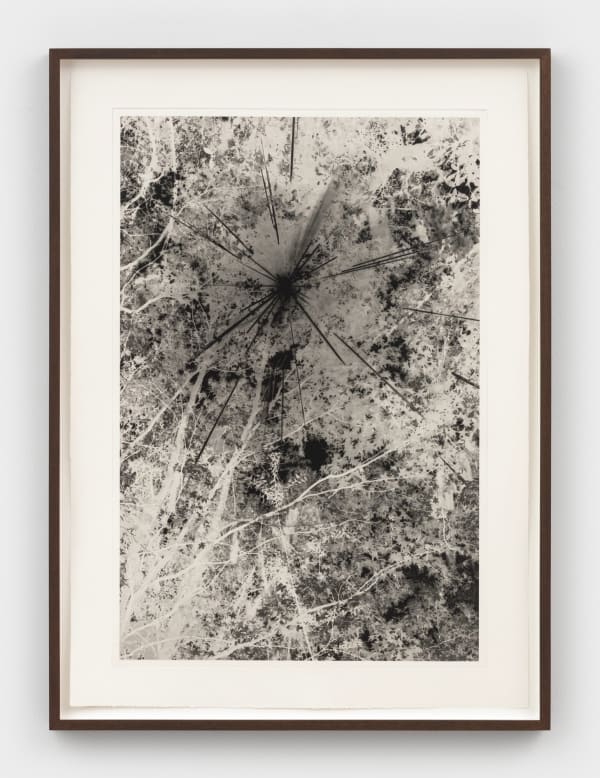 David Hartt Black Sun, 2021 photogravure image: 26 1/4 x 17 3/8 in (66.7 x 44.1 cm) sheet: 30 3/4 x 22 1/8 in (78.1 x 56.2 cm) Edition of 10 plus 1 artist's proof