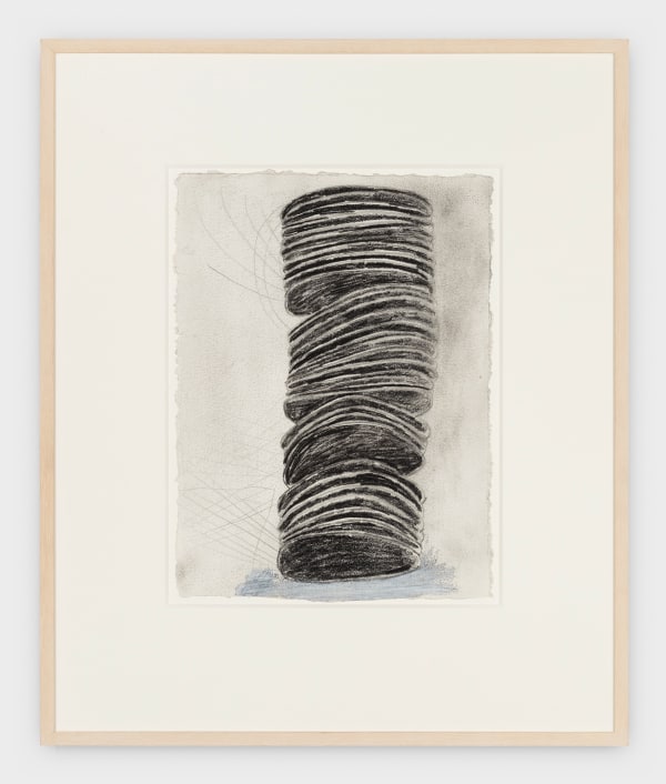 Terry Winters Untitled, 1988 graphite on paper 14 3/4 x 11 in (37.5 x 27.9 cm)