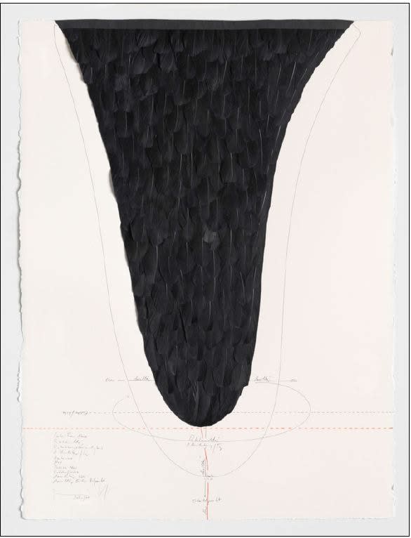 Jorinde Voigt Central From Above, 2015 ink, feathers, oil pastels, pencil on paper 30 1/2 x 22 5/8 in (77.5 x 57.5 cm) framed: 34 x 26 1/2 in x 2 3/4 in (86.4 x 67.3 x 7 cm)